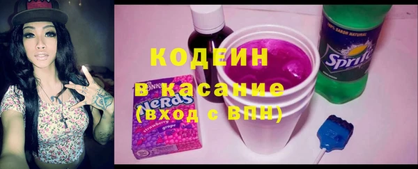 индика Аркадак