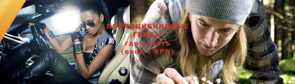 прущий лед Арсеньев