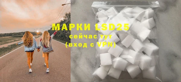 индика Аркадак