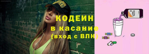 индика Аркадак