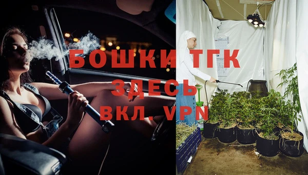 индика Аркадак