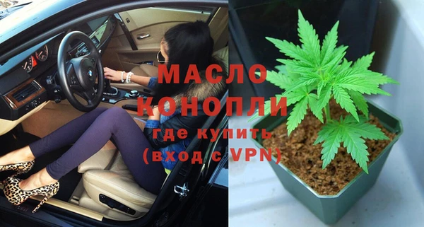индика Аркадак