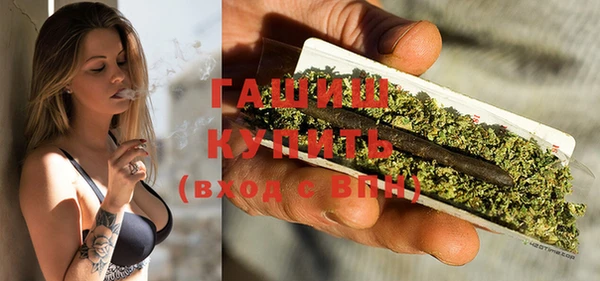 индика Аркадак