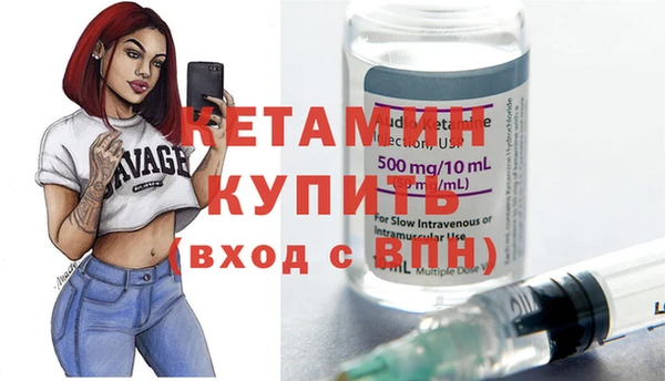 индика Аркадак
