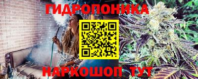 гидра Балаково