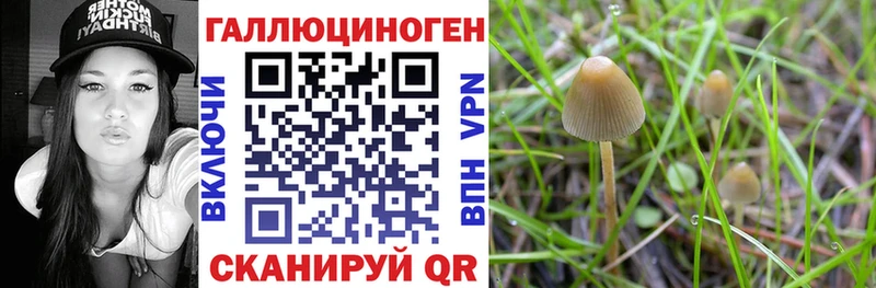 Псилоцибиновые грибы мухоморы  наркотики  Долгопрудный 