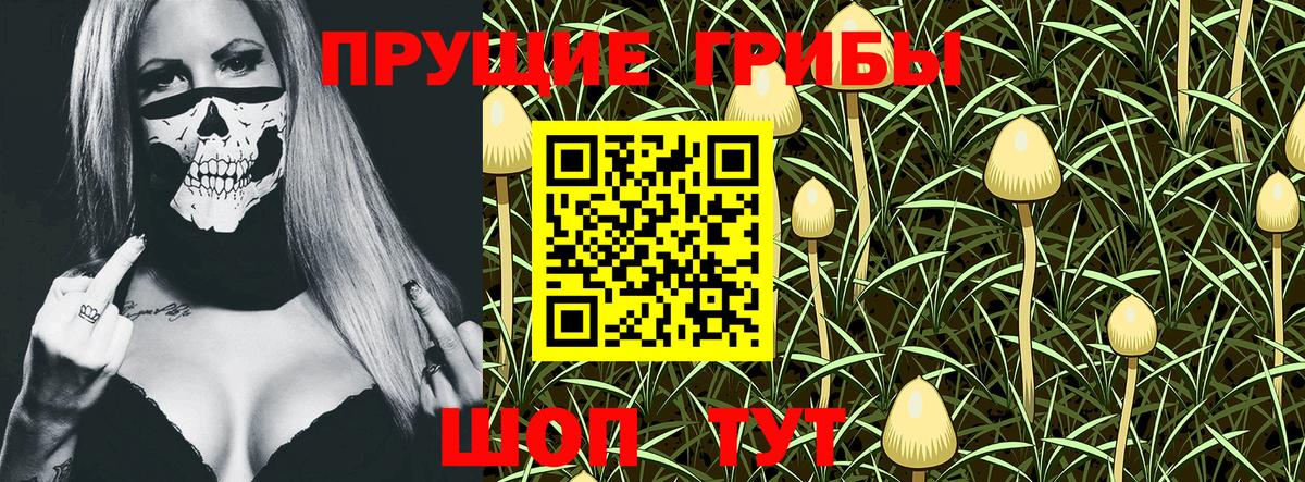 Галлюциногенные грибы GOLDEN TEACHER Долгопрудный