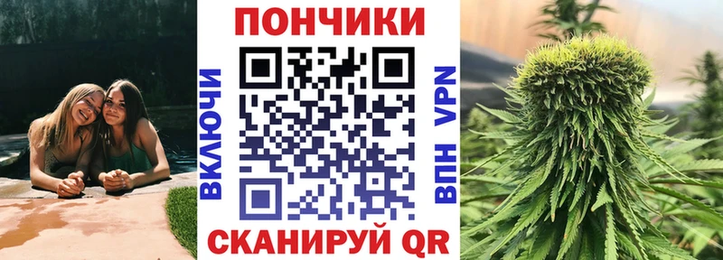 Бошки Шишки гибрид Долгопрудный